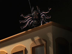 Spider
