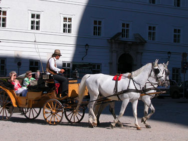 horse carriage