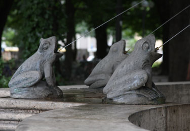 frog fountain